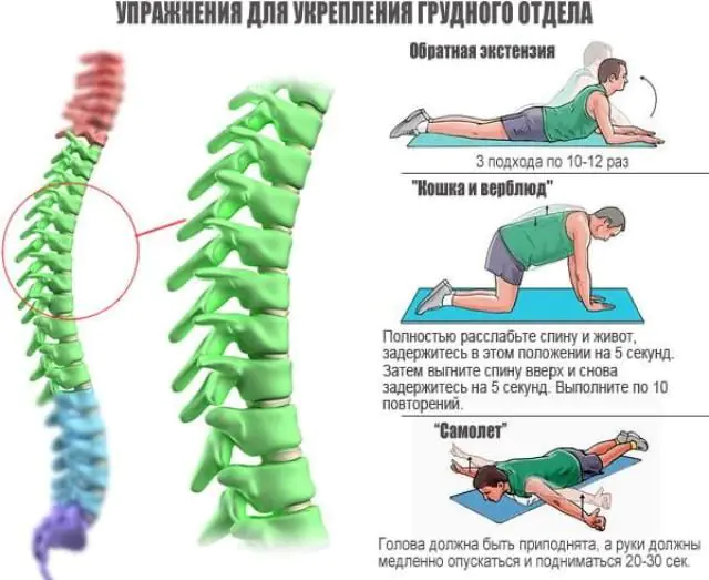 Spondylosis exercises