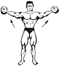 Vertical dumbbell swings to the sides