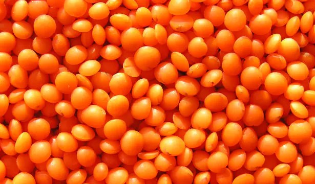 7 principais razões para comer lentilhas
