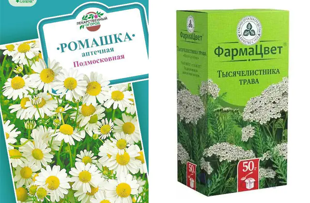 Chamomile and yarrow for Whipple's disease