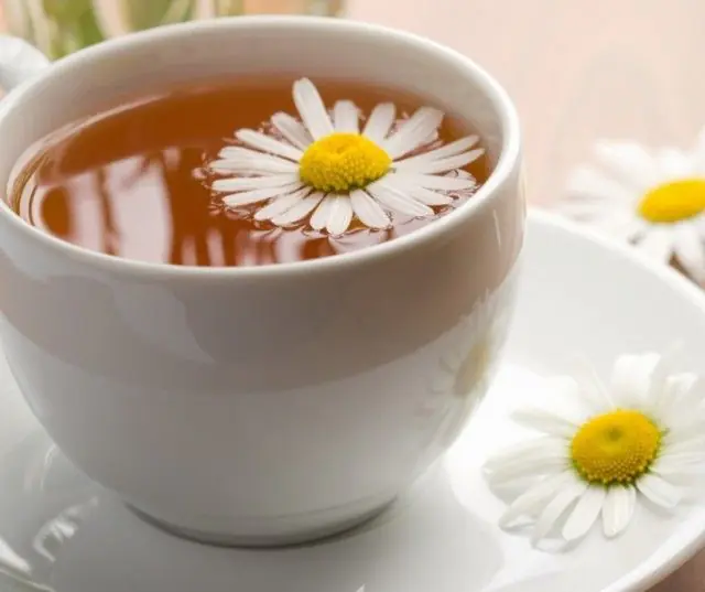 Chamomile tea for warts on a child’s stomach