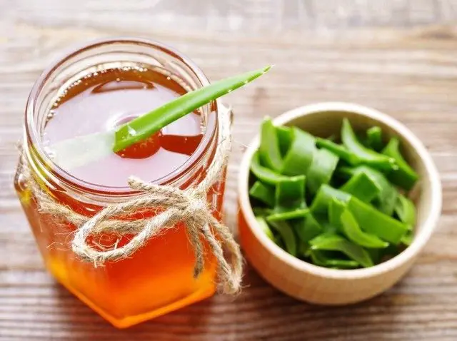 Aloe mit Honig zur Behandlung von Gastroduodenitis