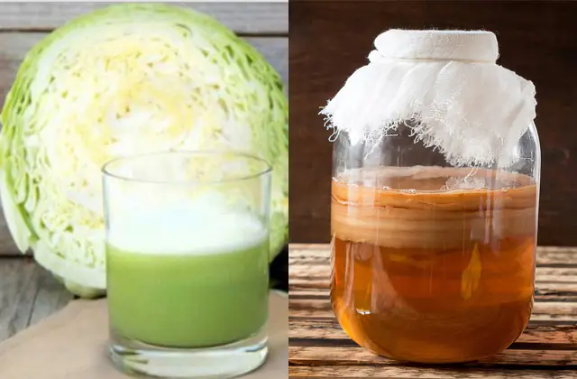 卷心菜汁和康普茶用于湿气