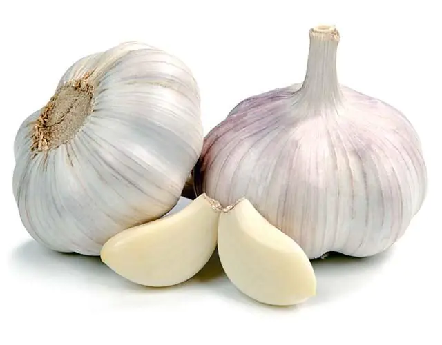 Garlic for papillomas