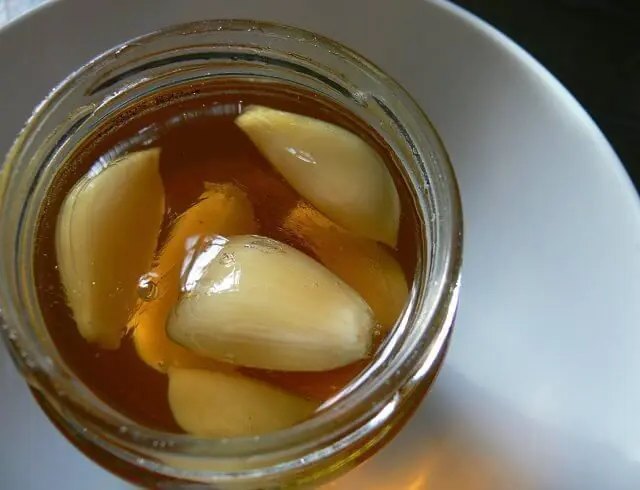 Garlic and honey for papillomas