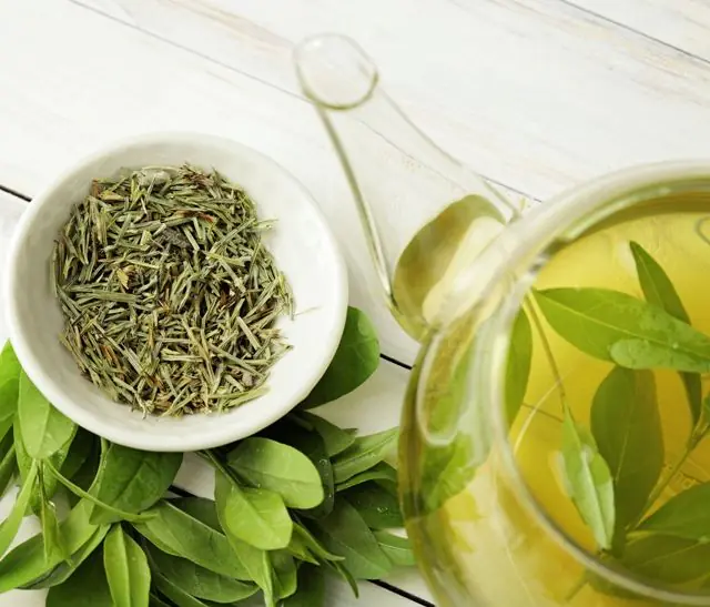 Green tea for papillomas