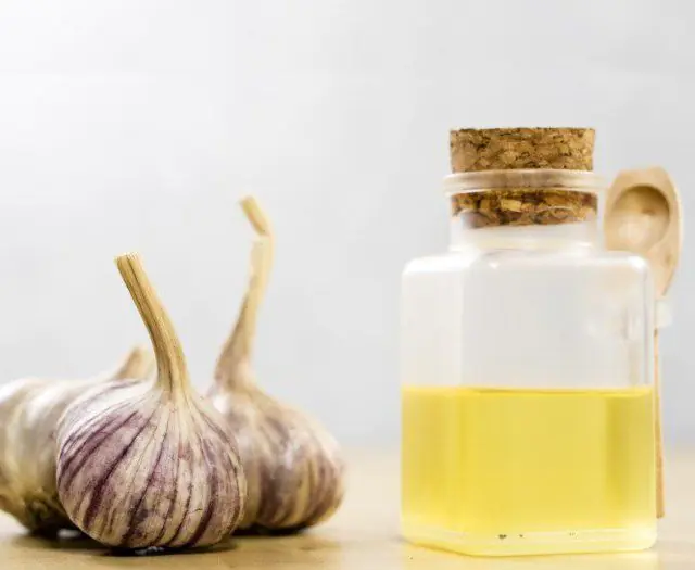 Garlic juice for papillomas on the nipples of the breast