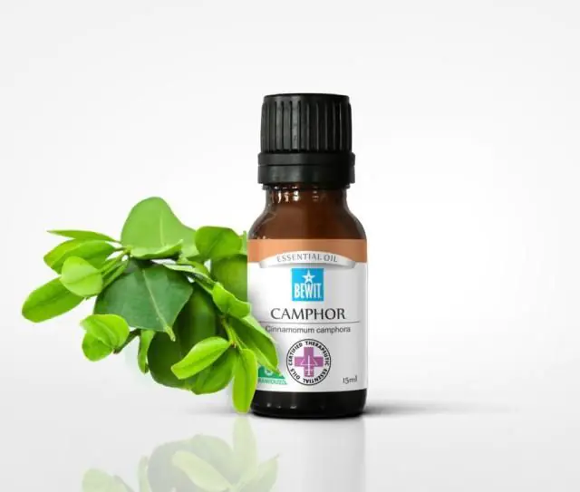 Camphor oil for the treatment of papillomas