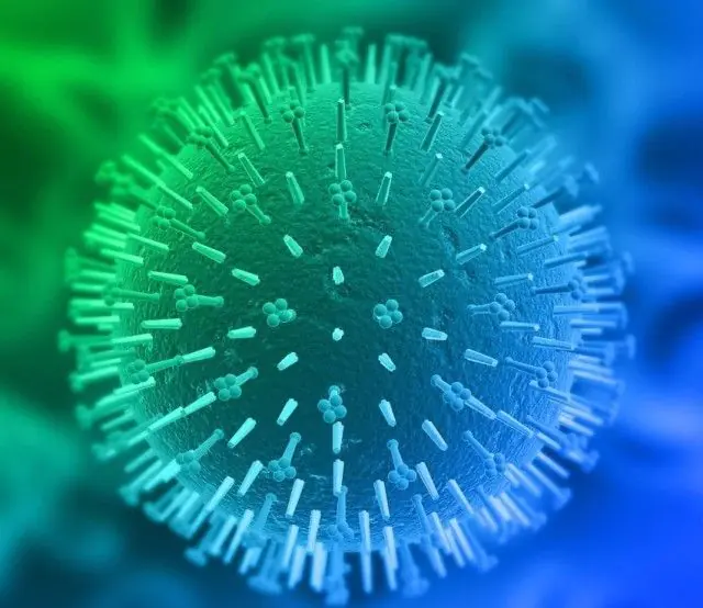 Mänskligt papillomvirus