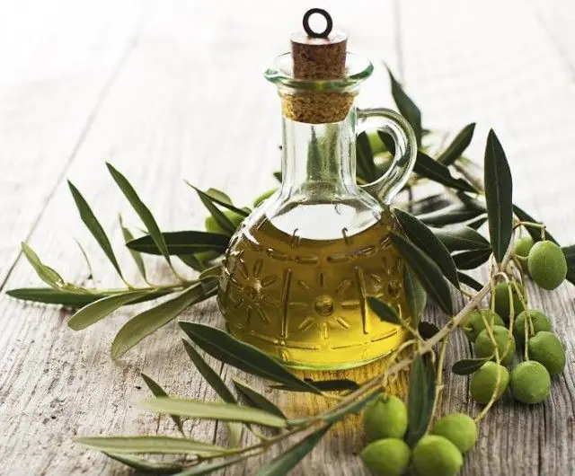 Olive oil for papillomas on the body