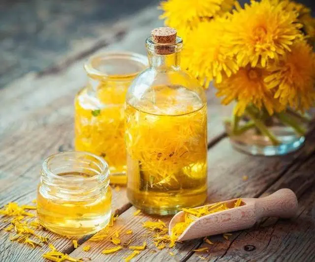 Tincture of dandelion flowers for papillomas on the body