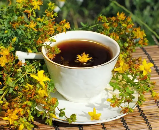 Infusion with St. John's wort for papillomas on the body
