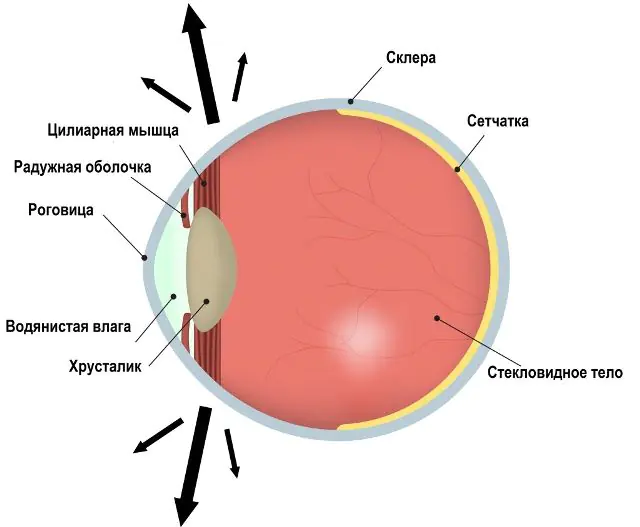 Mechanism of development of ocular nystagmus