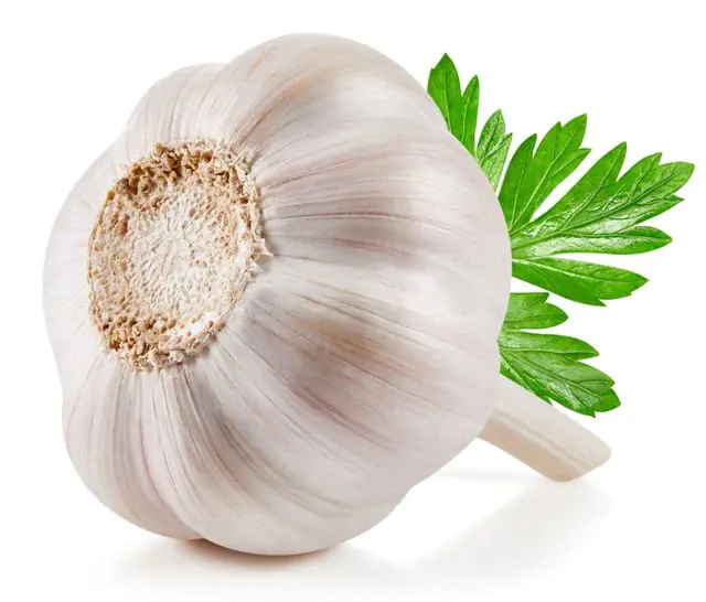 Garlic for papillomas on a woman’s body