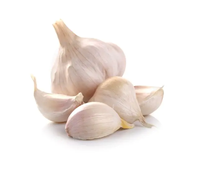 Garlic for genital papillomas