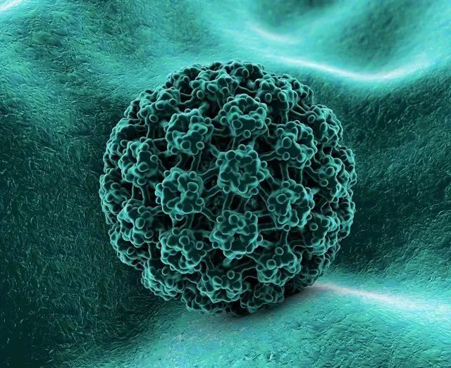 HPV 3d malli