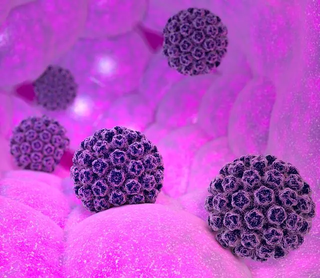 HPV-3D-model