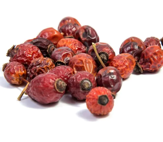 Dry rose hips for preparing an infusion for papillomas on the eyes