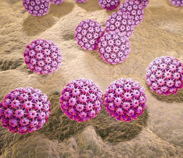 Model 3D wirusa HPV