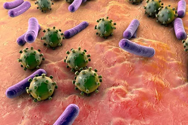 Bakterie na kůži