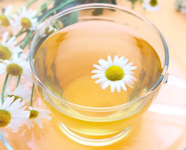 Chamomile decoction for papillomas on tonsils in a child