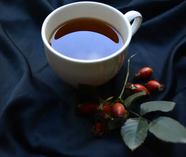 Rosehip decoction for warts on the face