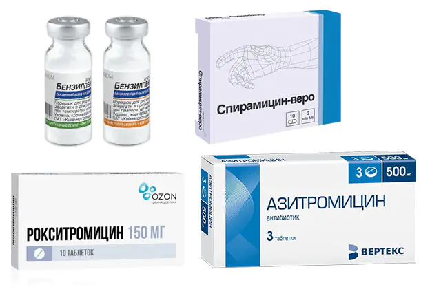 Antibióticos para el tratamiento de la erisipela.