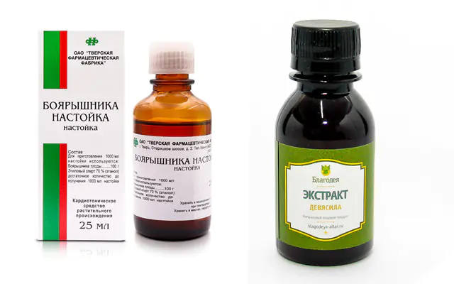 Tincture of hawthorn and elecampane for tachycardia