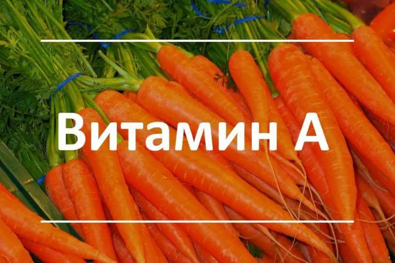 maslyanyj-vitamin-a-dlya-eqMJTuo.webp