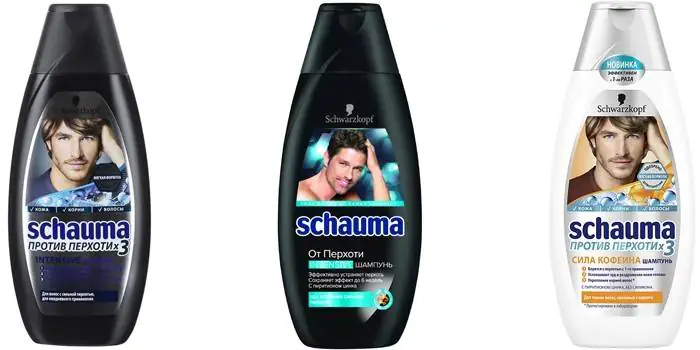 profesionalnye-shampuni-ot-HVLKfY.webp