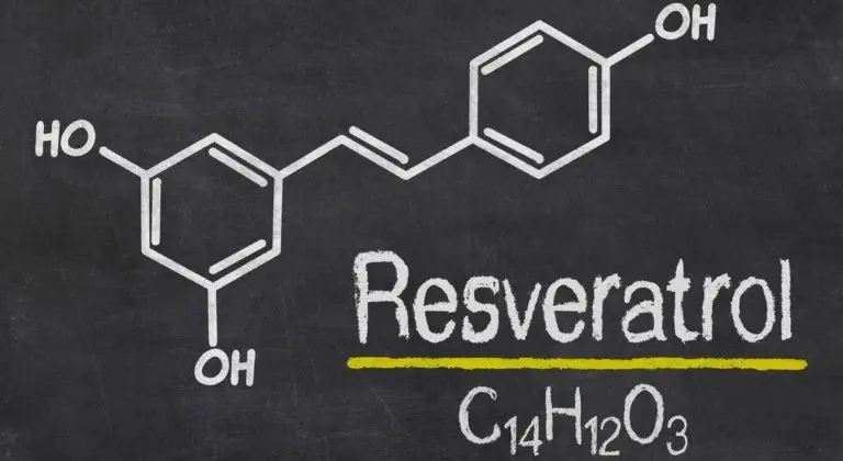 resveratrolo-polza-i-vred-RNpVRC.webp