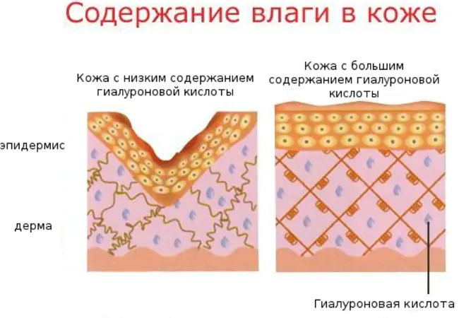 片剂ki-lora-s-hyaluronovoi-tuMeb.webp