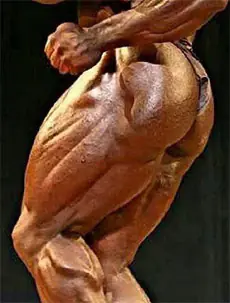 Hur pumpar man upp musklerna i skinkorna?