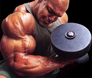 Concentrated dumbbell curl for biceps.