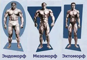 Główne typy budowy ciała sportowców.