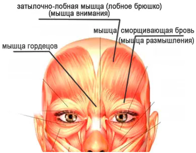 fejsbilding-ot-morshin-na-lbu-uDuUPVC.webp