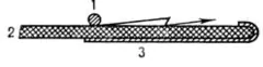 figuras-sobre-vidrio-de-lichtenberg-BvowBCE.webp