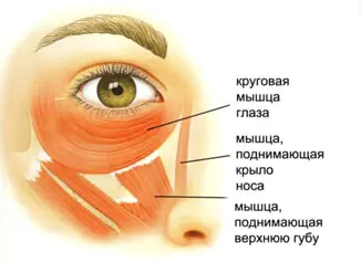 uprazhneniya-ot-provalov-pod-TyGyi.webp