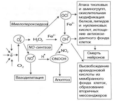 uroven-generacii-svobodnyh-uDzlStA.webp