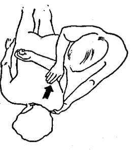 Massageie os músculos ao redor da omoplata