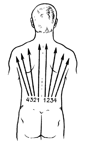 Massagem preliminar nas costas