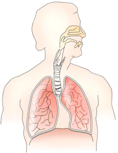 Massagem durante bronquite