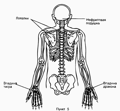 Pernapasan sumsum tulang belakang (tulang) (Bagian 4)
