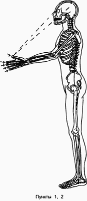 Pernapasan sumsum tulang belakang (tulang) (Bagian 5)